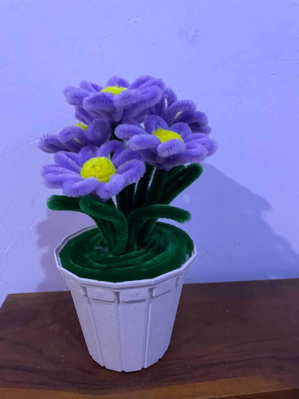 Premium Flower Plot Collection